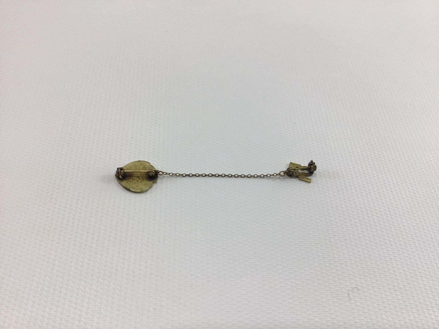 Vintage Enameled Sweater Pin 25 year Employee Service Award Woodmen Circle Lincoln Nebraska