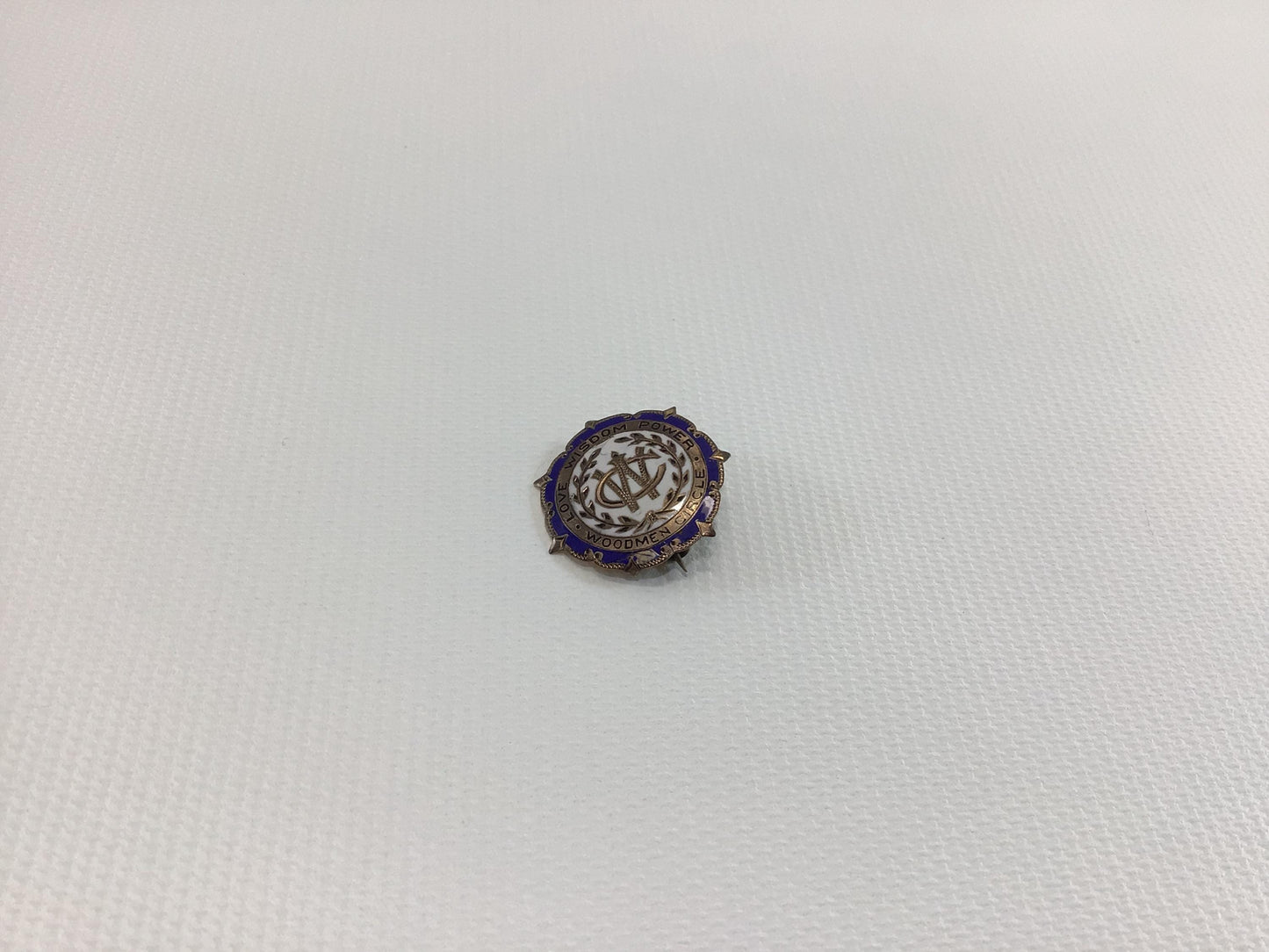 Vintage Enameled Blue White Lapel Pin Service Award Woodmen Circle Love Wisdom Power