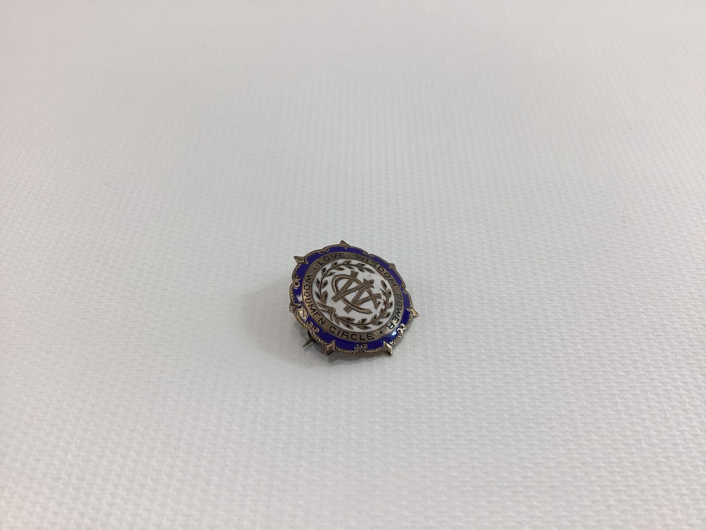 Vintage Enameled Blue White Lapel Pin Service Award Woodmen Circle Love Wisdom Power