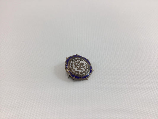 Vintage Enameled Blue White Lapel Pin Service Award Woodmen Circle Love Wisdom Power