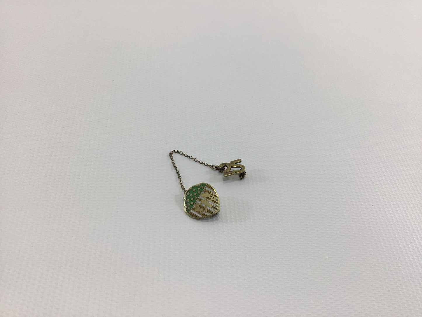 Vintage Enameled Sweater Pin 25 year Employee Service Award Woodmen Circle Lincoln Nebraska
