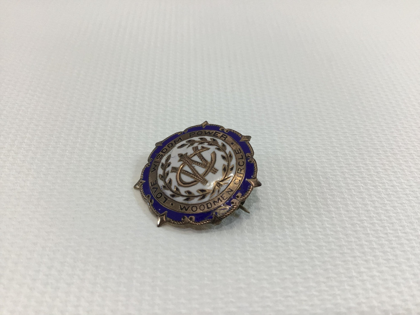 Vintage Enameled Blue White Lapel Pin Service Award Woodmen Circle Love Wisdom Power