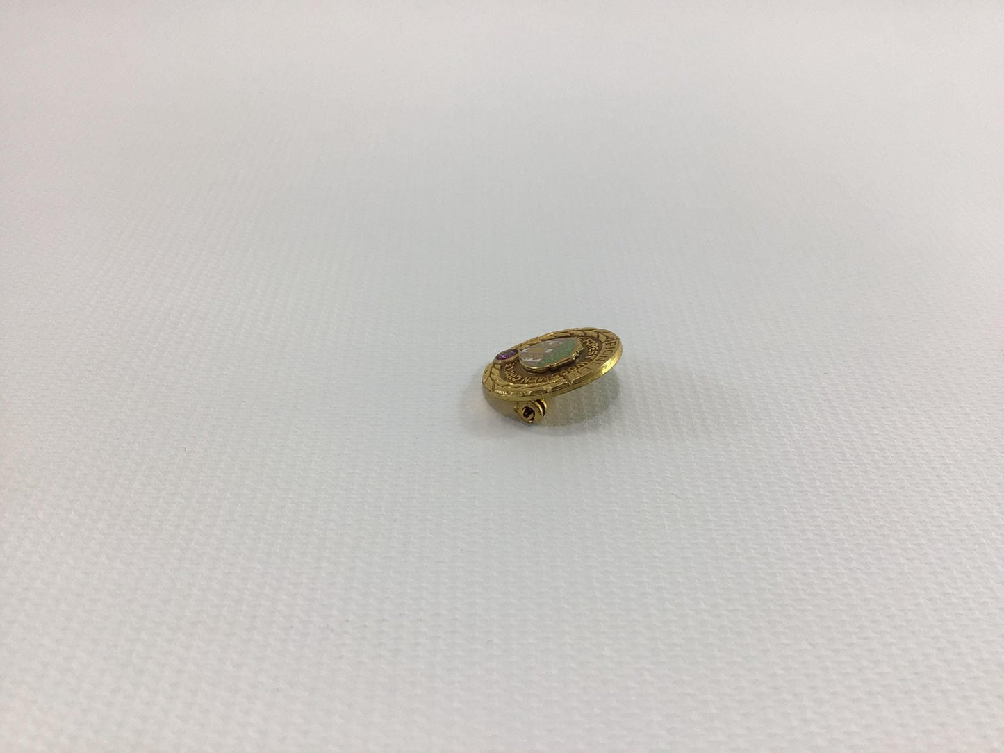 Vintage Lapel Pin with Garnet Service Award Pioneer Supreme Forest Woodmen Circle