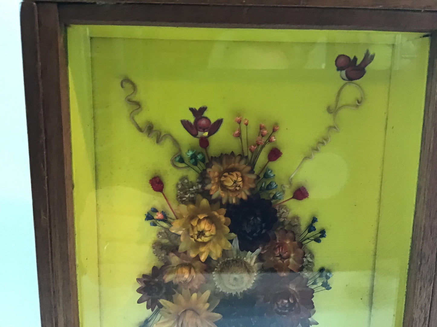 Vintage Framed Dried Flowers in 10" x 7" Hardwood Shadow Box