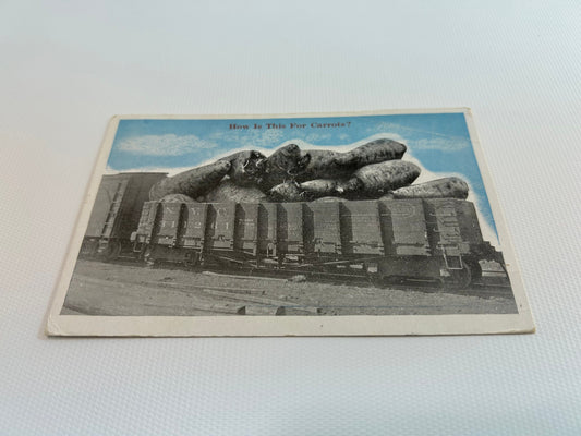 RPPC Exaggerated Tall Tale Post Card Black White Real Photo Exaggeration Carrots Blue Colorized New York Central Train Posted 2 cent Stamp