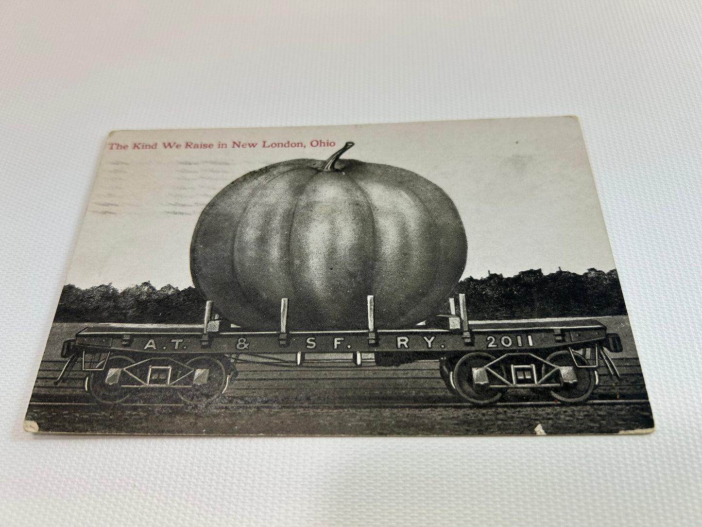 RPPC Exaggerated Tall Tale Post Card Black and White Real Photo Exaggeration Train AT & SF R Y Pumpkin New London Ohio Souvenir Posted 1911