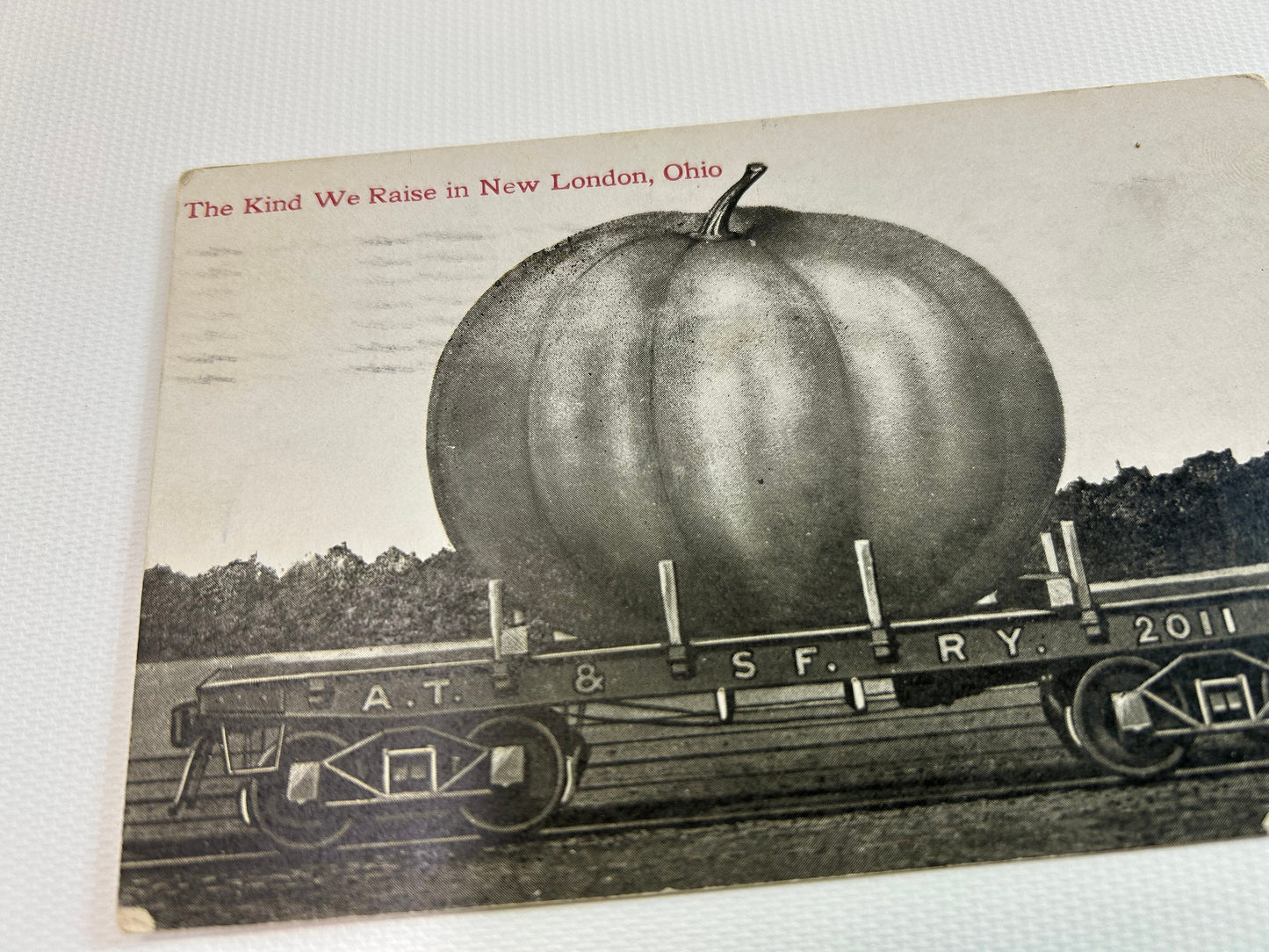 RPPC Exaggerated Tall Tale Post Card Black and White Real Photo Exaggeration Train AT & SF R Y Pumpkin New London Ohio Souvenir Posted 1911