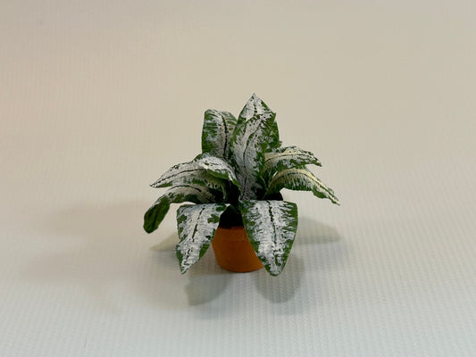 Handmade Dollhouse Miniature Plant Chinese Evergreen Aglaonema in Terra Cotta Pot Home Decor 1:12 Scale Artisan Made