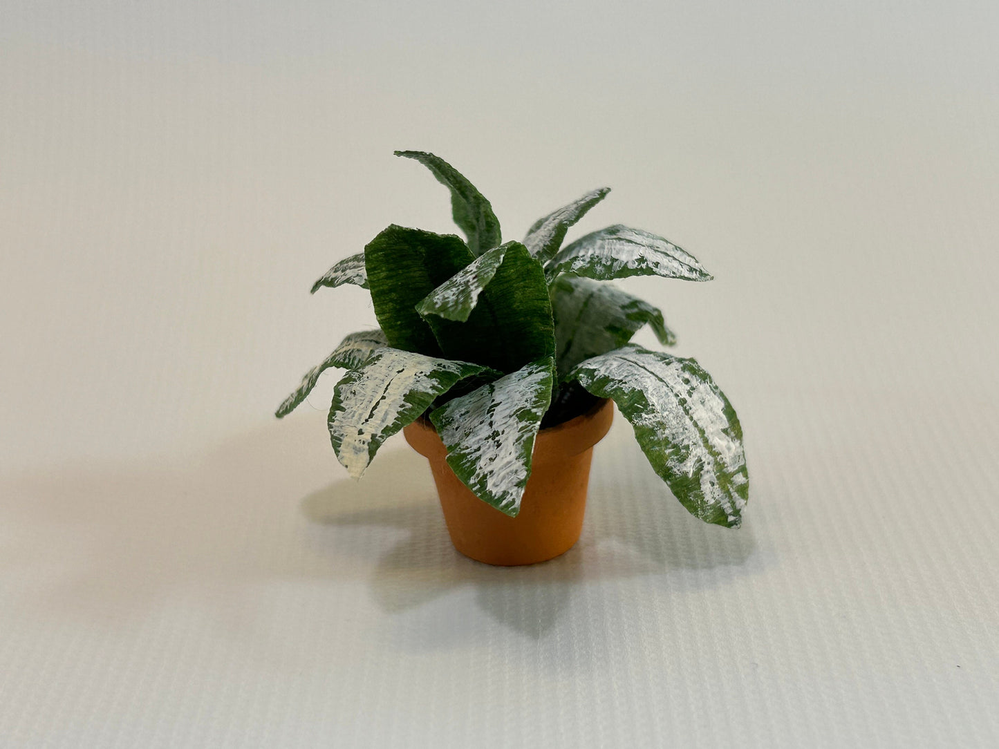 Handmade Dollhouse Miniature Plant Chinese Evergreen Aglaonema in Terra Cotta Pot Home Decor 1:12 Scale Artisan Made