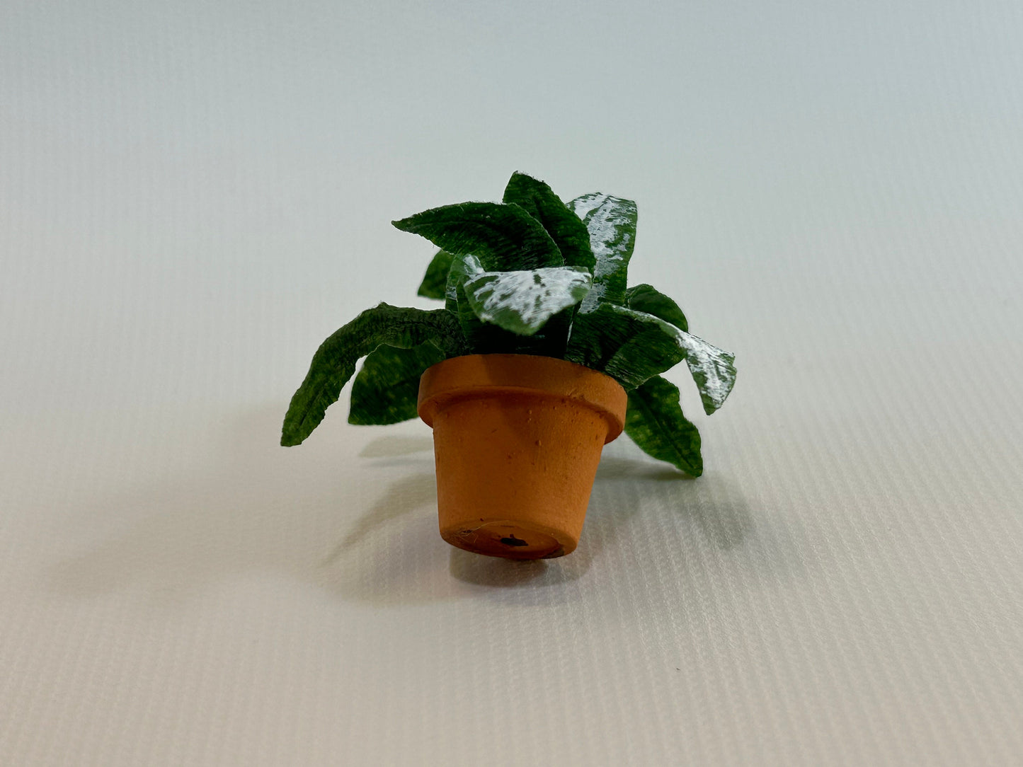 Handmade Dollhouse Miniature Plant Chinese Evergreen Aglaonema in Terra Cotta Pot Home Decor 1:12 Scale Artisan Made