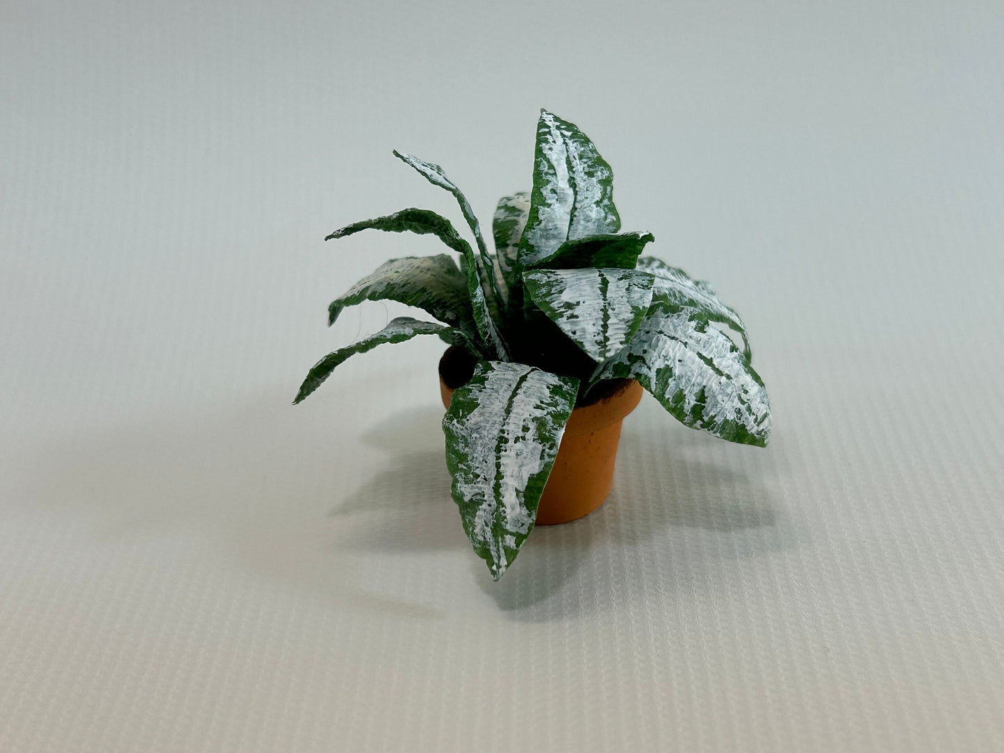 Handmade Dollhouse Miniature Plant Chinese Evergreen Aglaonema in Terra Cotta Pot Home Decor 1:12 Scale Artisan Made