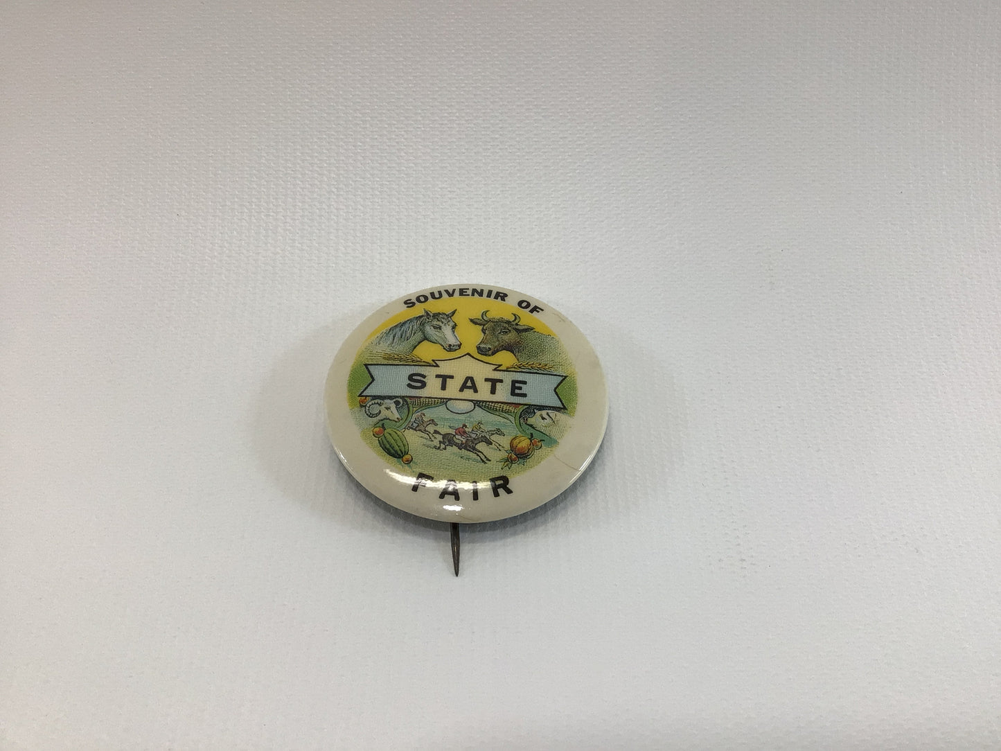 Souvenir of State Fair Vintage Novelty Celluloid Pinback Button Toy Prize Award