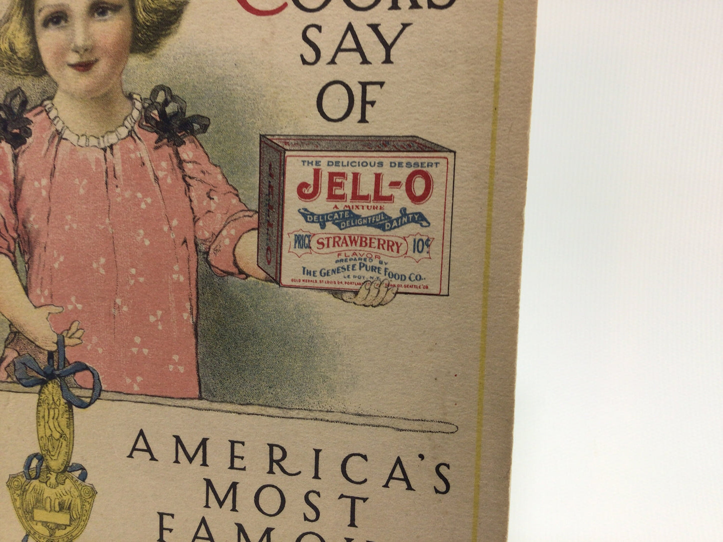 JELL-O Famous Cooks Recipes Cookbook Booklet Antique Edwardian Era Advertising Ephemera What Six Famous Cooks say of JELL-O